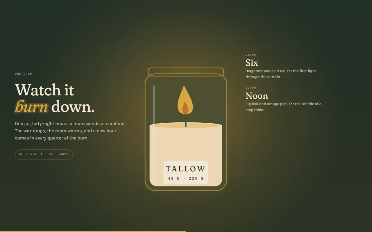 Screenshot of the The burn section of the Tallow site