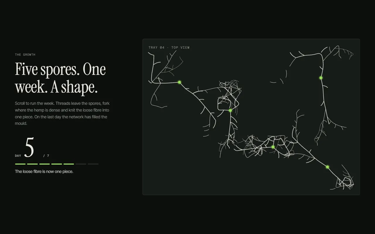 Screenshot of the The growth section of the Mycel site