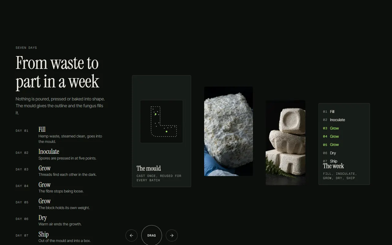Screenshot of the Seven days section of the Mycel site